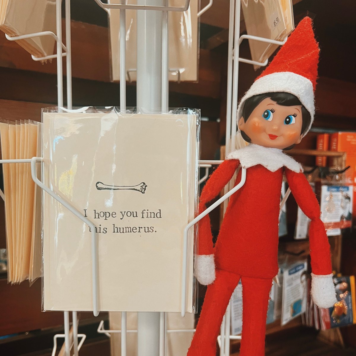 ECScienceCenter's tweet image. Rosie the Elf is back at the science center! One of her first stops was to visit the gift shop and see all the new items we have ready for holiday shopping. ❤️  Follow along on Rosie's adventures at the science center on our Instagram at buff.ly/3GgTeQV