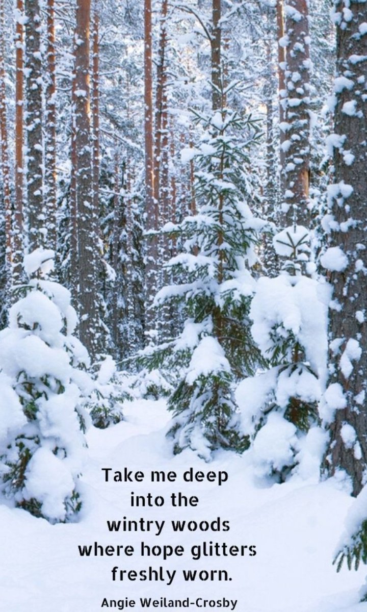 LANLLI's tweet image. Always Hope🩷