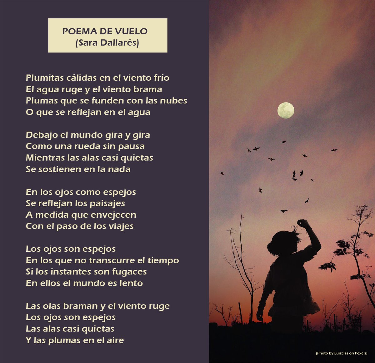 Bctuab's tweet photo. A la nostra exposició de #CiènciaiPoesia, els versos al vol de la Sara Dallarés, professora del #BABVE (@Biociencies_UAB).

Ella participarà també a l'slam poètic del 19/12.
🔗https://t.co/BOROqOhzmf

@lauramorron @CristinaSopena1 @VersosFractales @salutvilaros @Literamus https://t.co/2qIacxwmGb