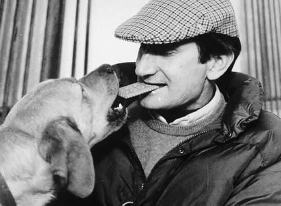 AntonioUriz's tweet photo. Hoy es el cumpleaños de nuestro querido #JULIOROBLES y habría cumplido 72 años. 

Te recordamos con cariño, admiración y nostalgia.

#EternoJULIOROBLES https://t.co/eIXQKD3rbJ