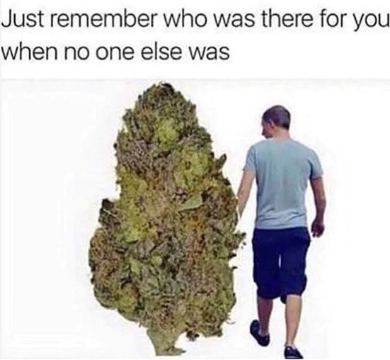 Always🙏🏼

#CannabisCommunity #dankmemes #MondayFunday #MondayMood #dailymeme #dailycannabis #cannabismemes #420community