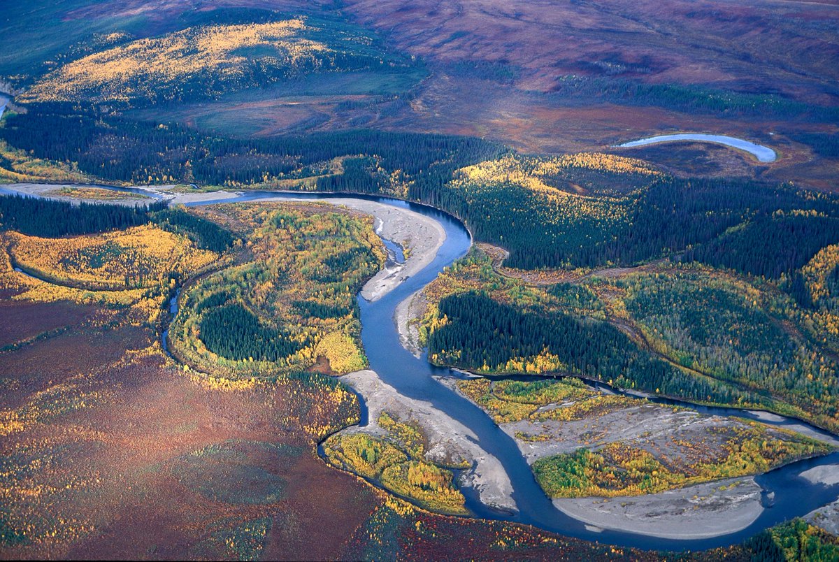 USGS's tweet photo. To help settle a 50-year debate over habitat fragmentation and biodiversity, a USGS scientist brought both sides together to work it out. Learn more: https://t.co/p46U0oEYO9
#WorldWildlifeConservationDay #USGS #Science #ScienceBoss https://t.co/IjWMXryW1d