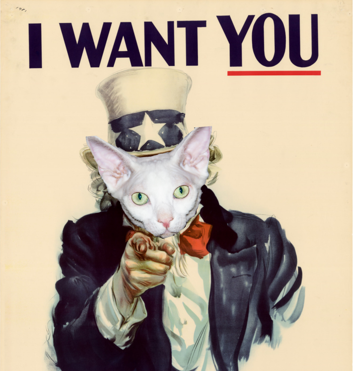 Humane Society for Hamilton County tweet media