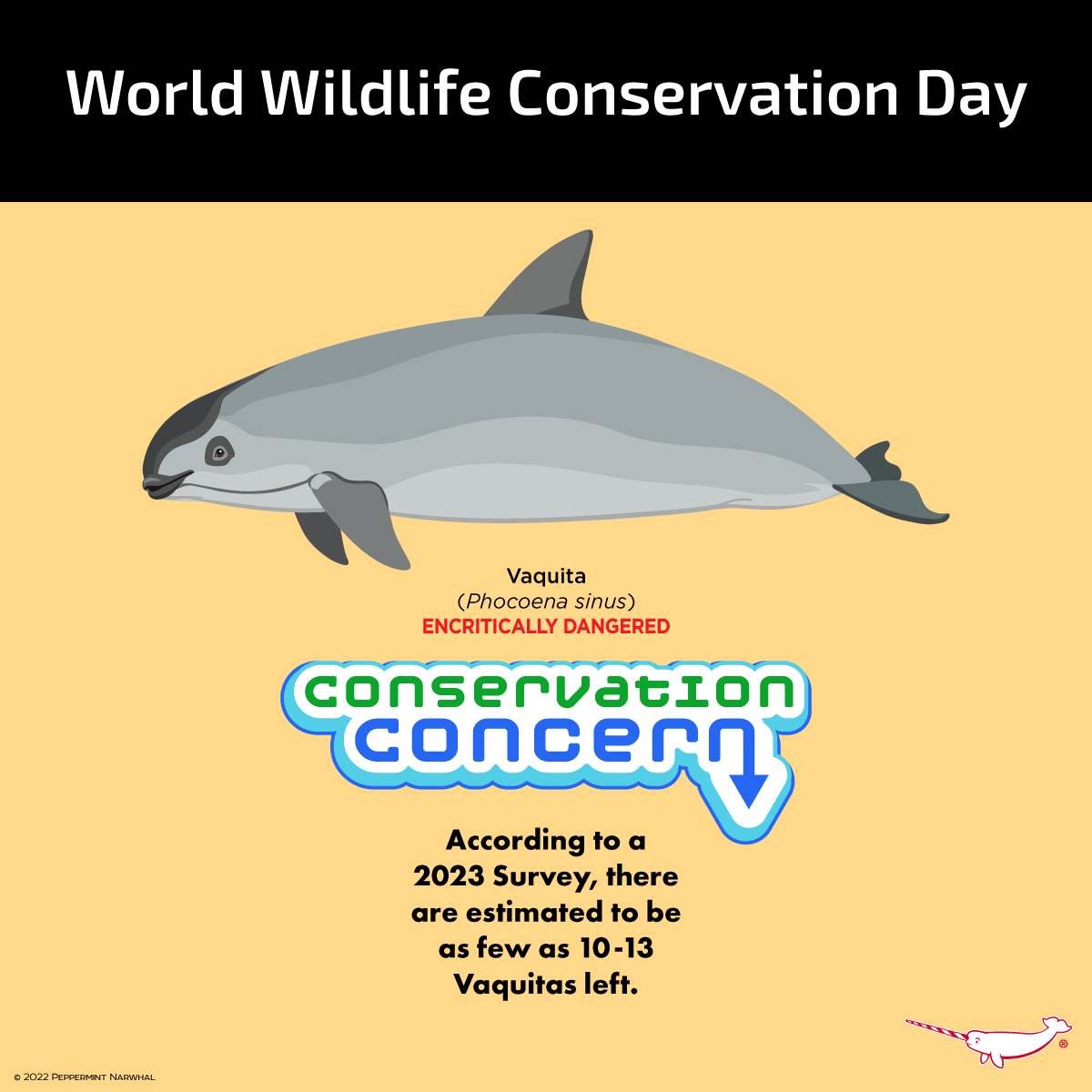 PepomintNarwhal's tweet photo. #WorldWildlifeConservationDay #ConservationConcern #Vaquita #Porpoise
Shop Peppermint Narwhal: http://peppermintnarwhal.com2024 Animal Holiday Calendar, Gift Tags, Ornaments, Holiday Cards, Enamel Pins, & more! https://t.co/eyTN14yB7U