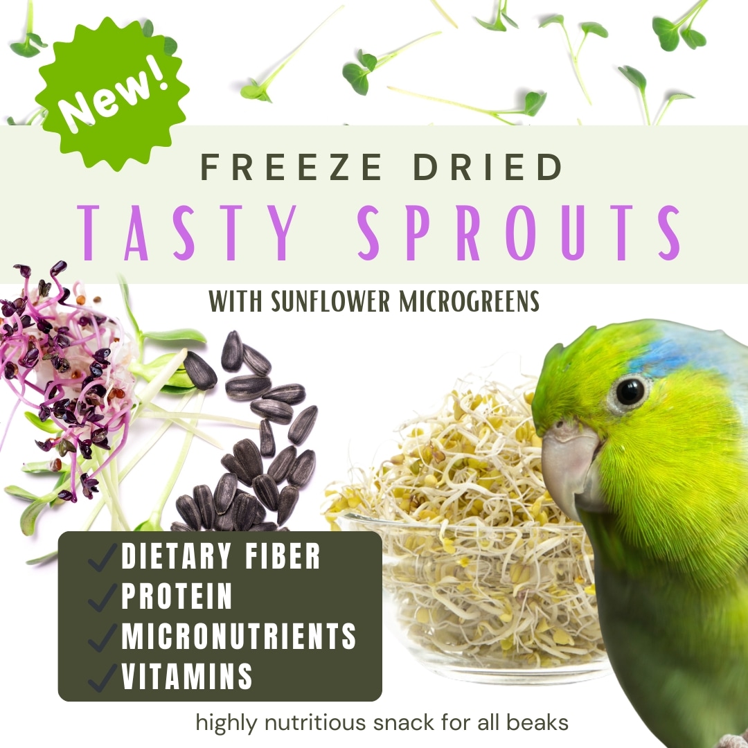 Pollysnaturalp1's tweet photo. New #parrot superfood! https://t.co/4ymTpybJ5V