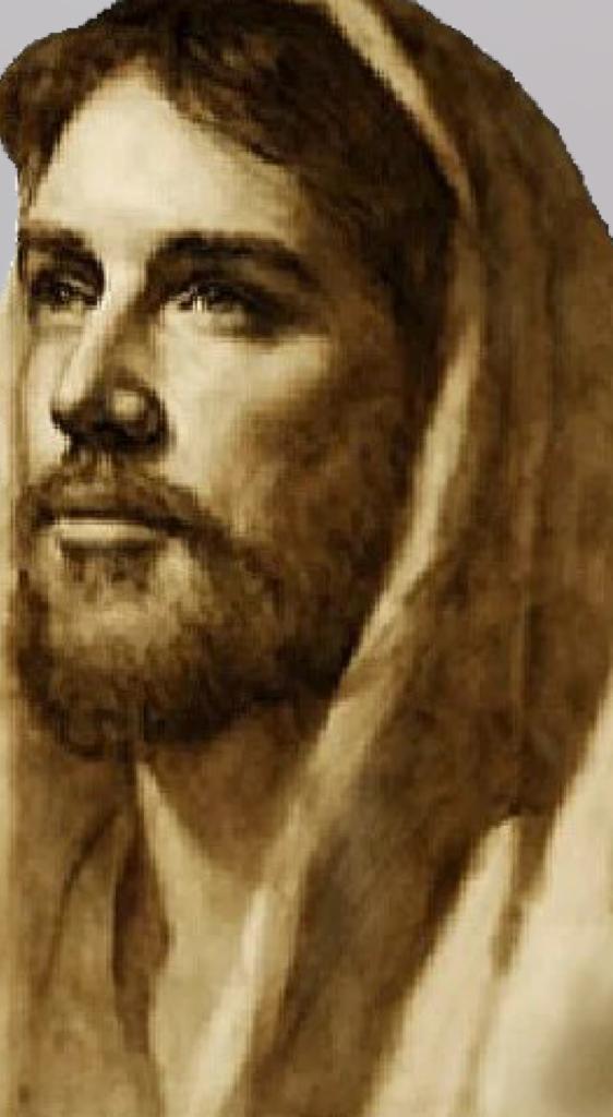 FE y más FE tweet media