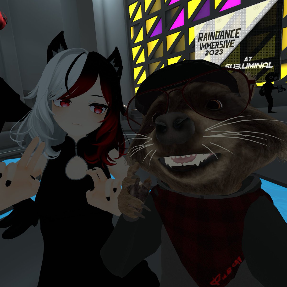 Meeka 🦝 tweet media