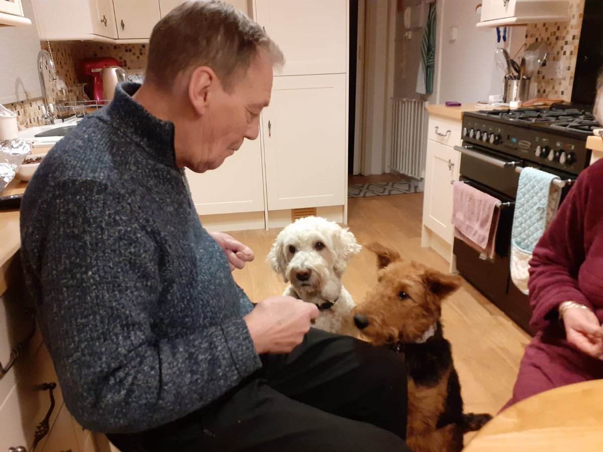 andyheeps's tweet photo. Popped home for the weekend; obvs the dogs demanded all the attention 😂 https://t.co/uqqGLx7LMb
