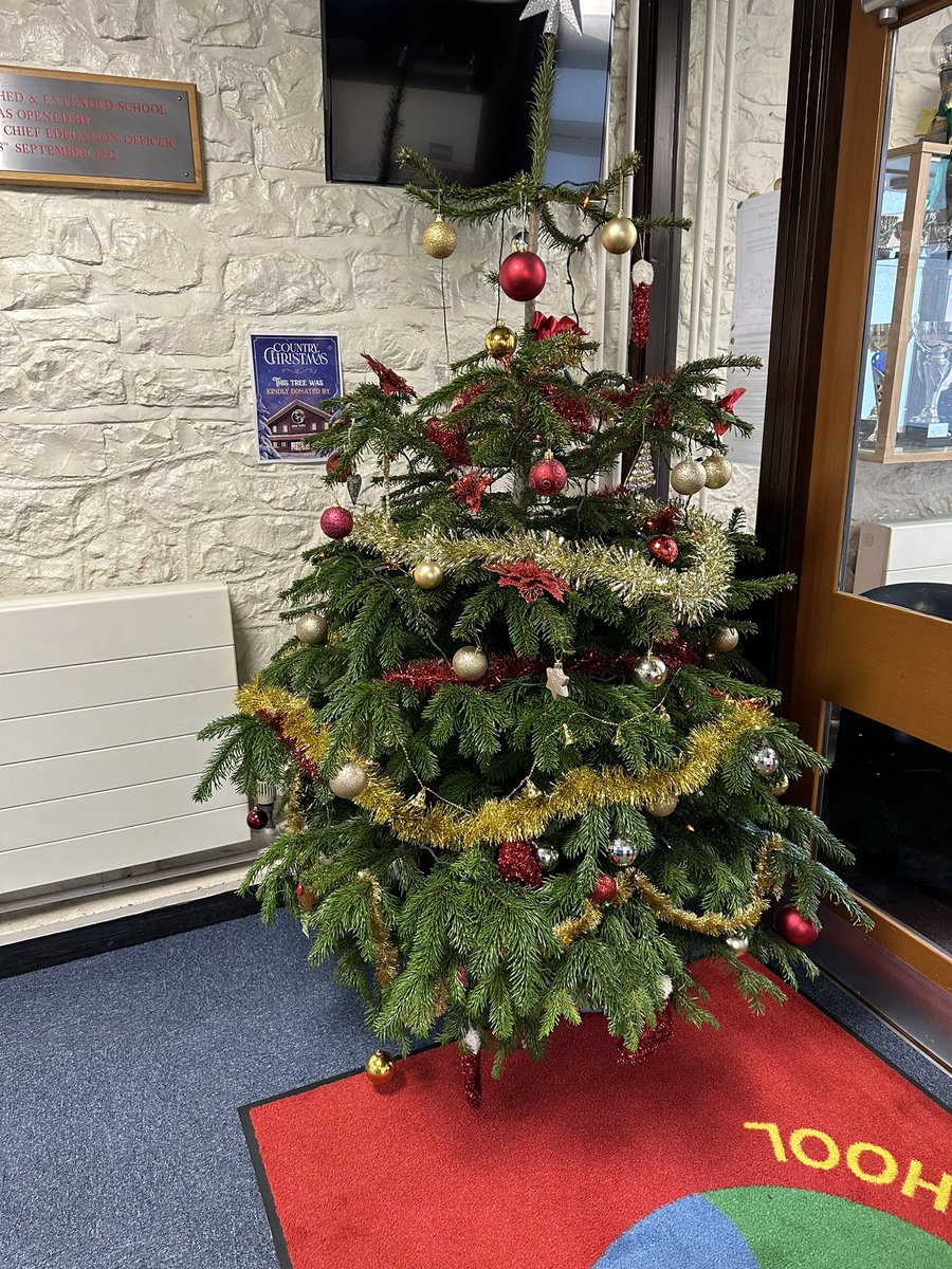 Children are now able to post Christmas cards to their peers over the next couple of weeks. A reminder to put the class as well as the name on the cards.
Also, a huge thank you to @molevalley for donating our Christmas tree this year 🎄