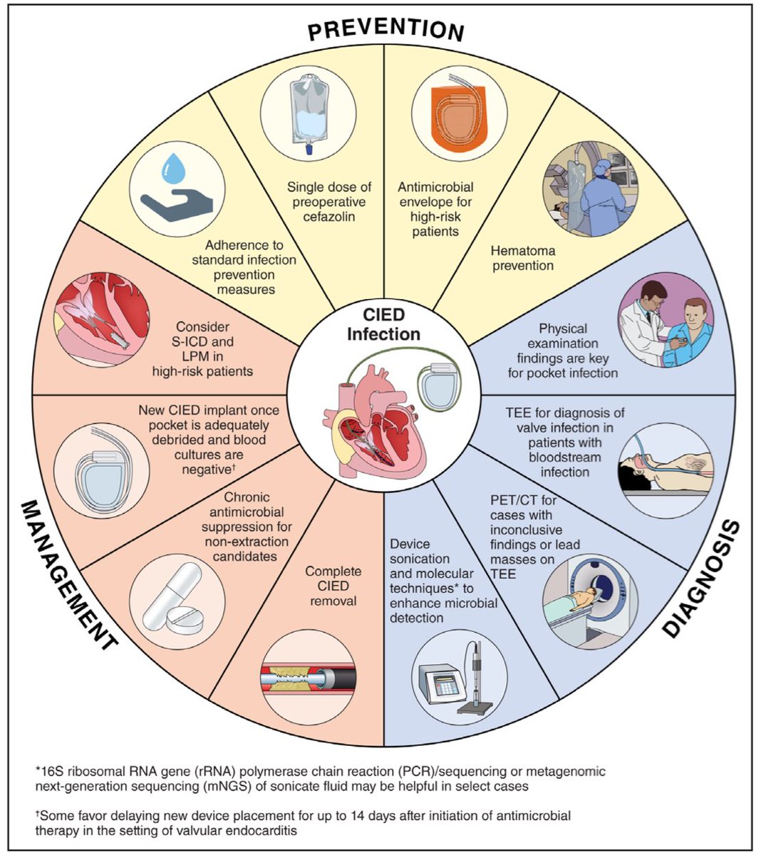 SeguraCardio's tweet image. 📌Update on Cardiovascular Implantable Electronic Device Infections 
🔸Prevention
🔸Diagnosis
🔸Management
A Scientific 📝 From the @American_Heart 

#CardioEd #CIED #Endocarditis