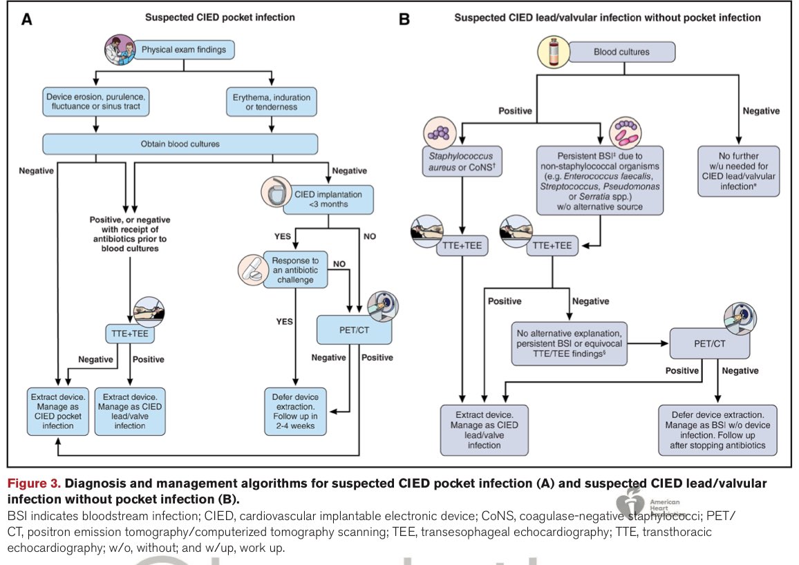 SeguraCardio's tweet image. 📌Update on Cardiovascular Implantable Electronic Device Infections 
🔸Prevention
🔸Diagnosis
🔸Management
A Scientific 📝 From the @American_Heart 

#CardioEd #CIED #Endocarditis