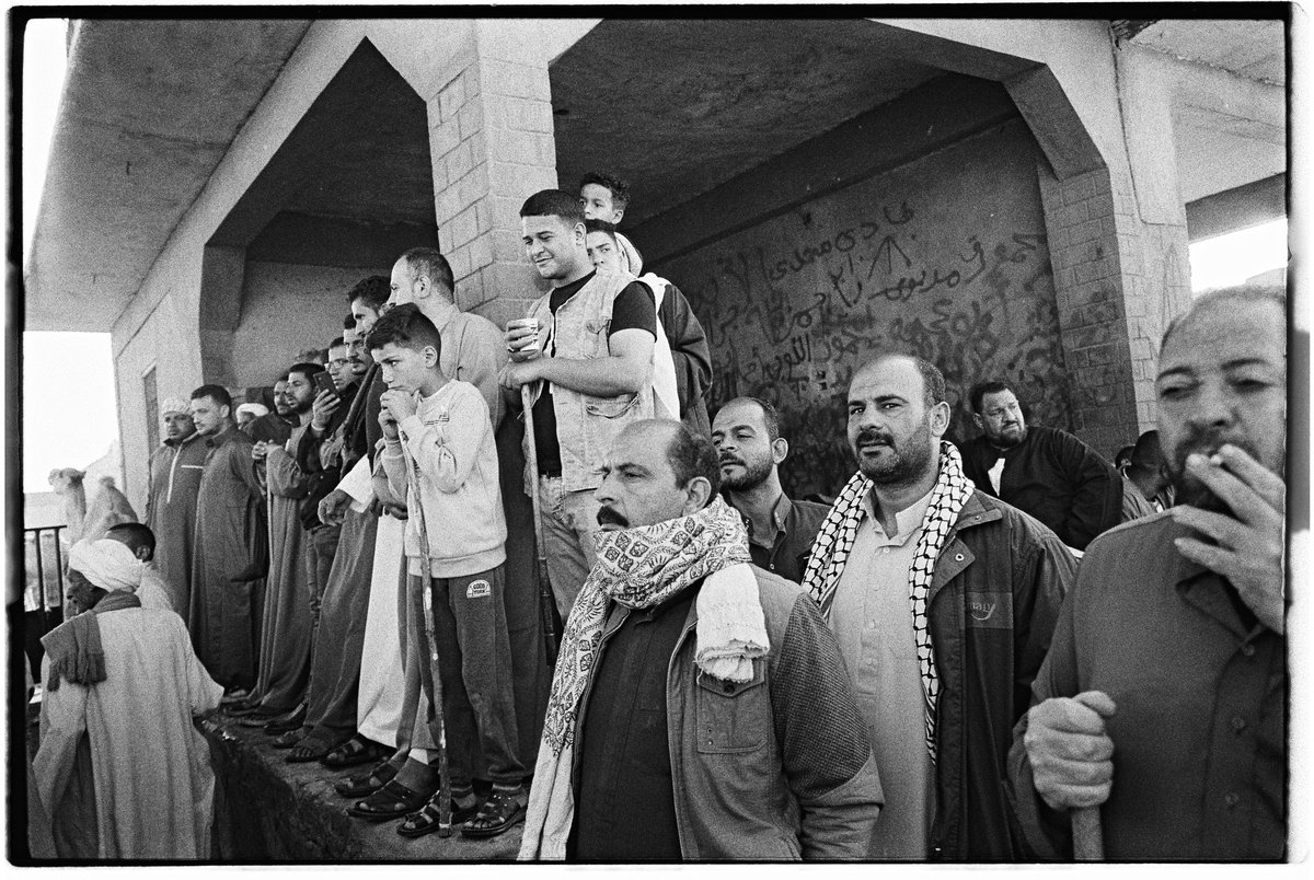 brianwertheim's tweet image. Camel market in Egypt, 2023 on @ILFORDPhoto #HP5 #35mm #leica