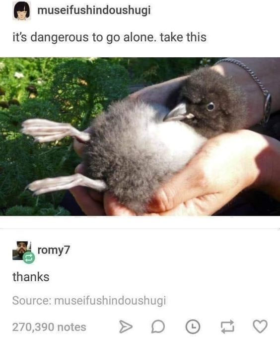 WholesomeMemes (@wholesomememe) on Twitter photo 