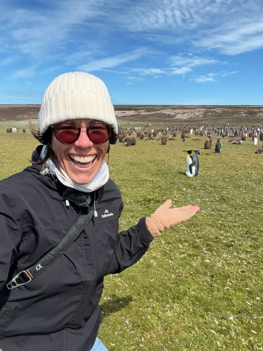 Wow! 🇫🇰🫶🐧

Just arrived back in London after an epic trip to the Falkland Islands.

Saw so many amazing things, that I’m a bit overwhelmed about where to begin!

Maybe this is a good place…

📍 Volunteer Point, West Falkland

<a href="/BeBlogilicious/">Blogilicious</a> 
<a href="/FITBTourism/">Falkland Islands</a> 
#presstrip