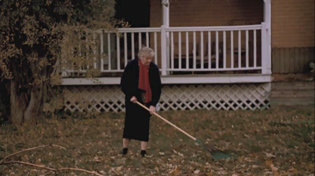 MrsBBoarding's tweet photo. ‘Tis the season to rake leaves. https://t.co/a0CEhHGhgH