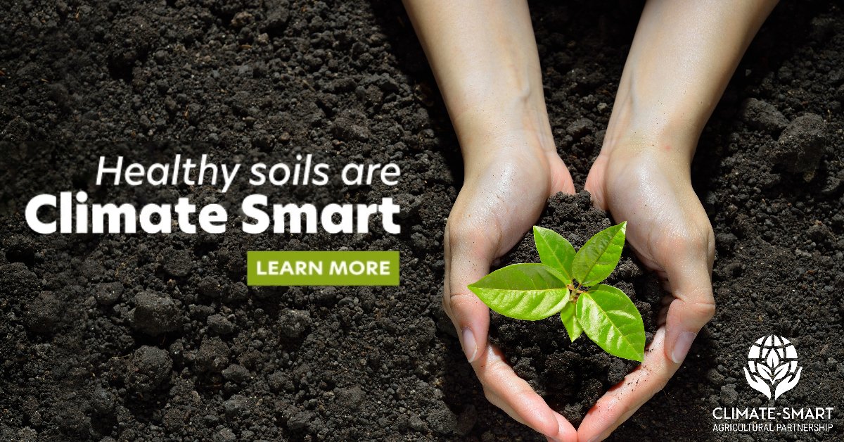 ClimateSmart_Ag's tweet photo. During #HealthySoilsWeek2023 we recognize CA farmers storing millions of pounds of carbon in soils each year. Improving soil heath is an important tool  to offset #carbonemissions. #climatesmartag #healthysoils #carbonsequestration https://t.co/akXY5jWUIg https://t.co/YsJEQWRs5h