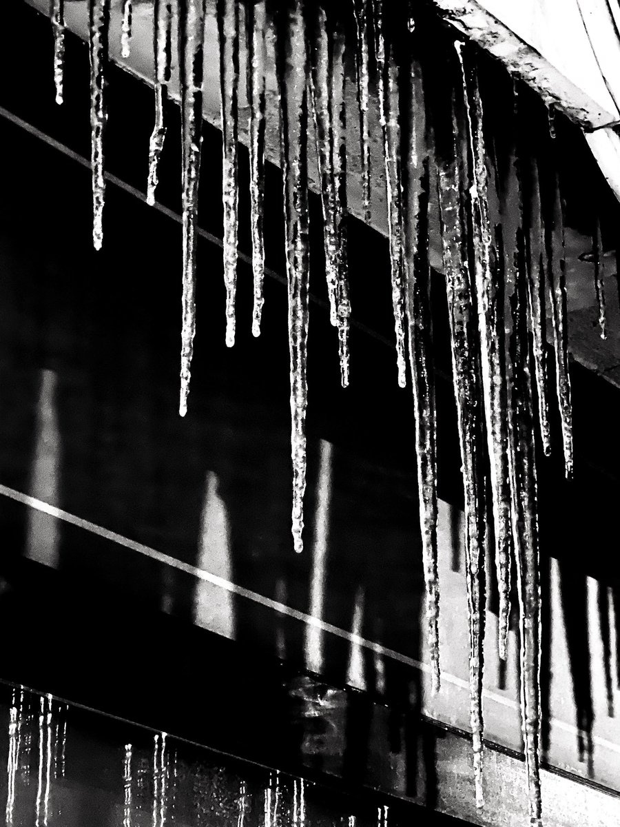 Gosia_Gorczyca's tweet photo. #Matejko w zimowej odsłonie… #Kraków -7 ❄️⭐️🩵 #grudzień #idziezima #śnieg #sople #blackandwhite #blackandwhitephoto https://t.co/bvlhasQQdx