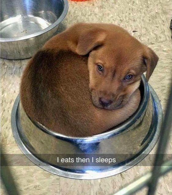 WholesomeMeme's tweet photo. https://t.co/7bve2q2r9a