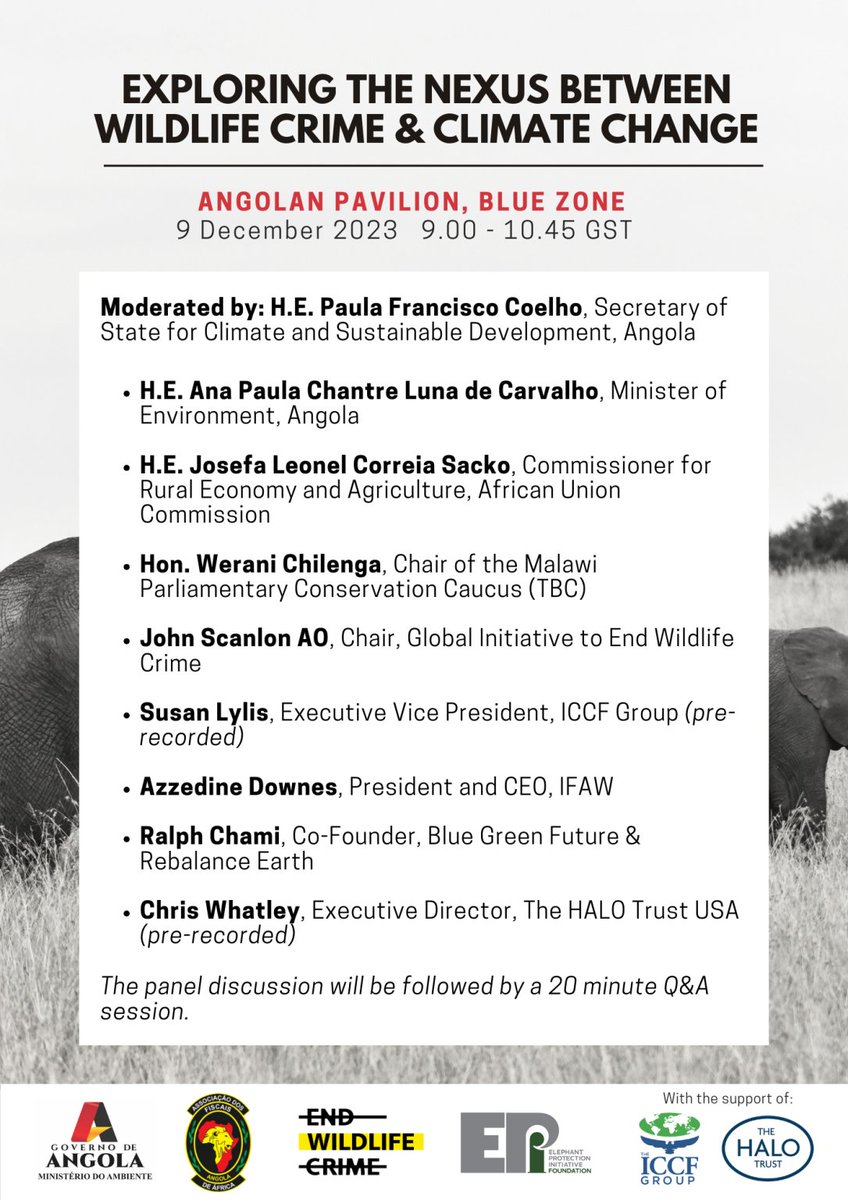 Are you attending #COP28 this weekend? 

Join us at the Angolan Pavilion on Saturday at 9.00 AM for a thought-provoking conversation on the link between #wildlifecrime and #climatechange 🇺🇳🇦🇴 Looking forward to it!