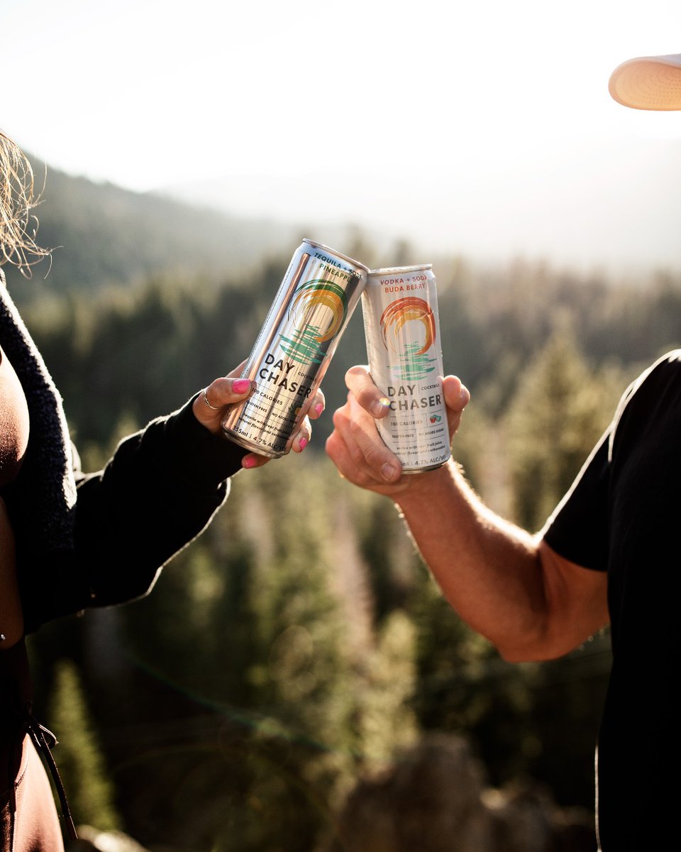 Day Chaser tweet media