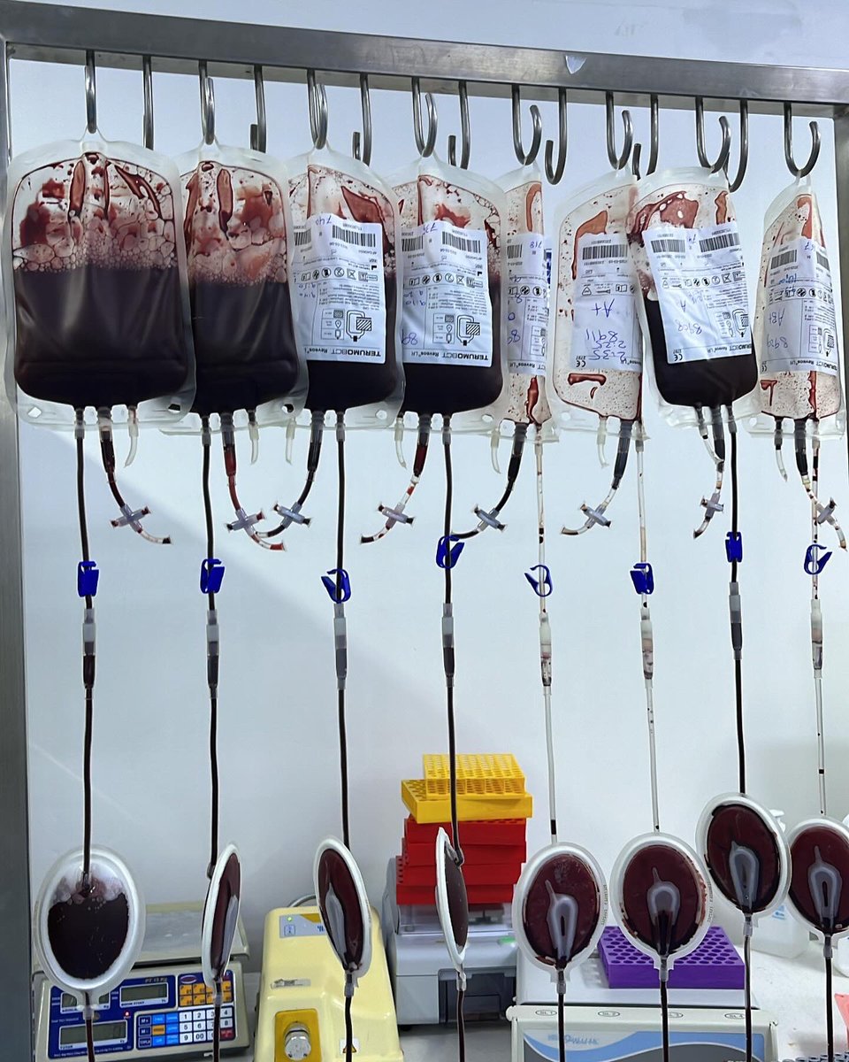 Rema__63's tweet photo. -Blood bank 🩸 https://t.co/1aupGkeOD9