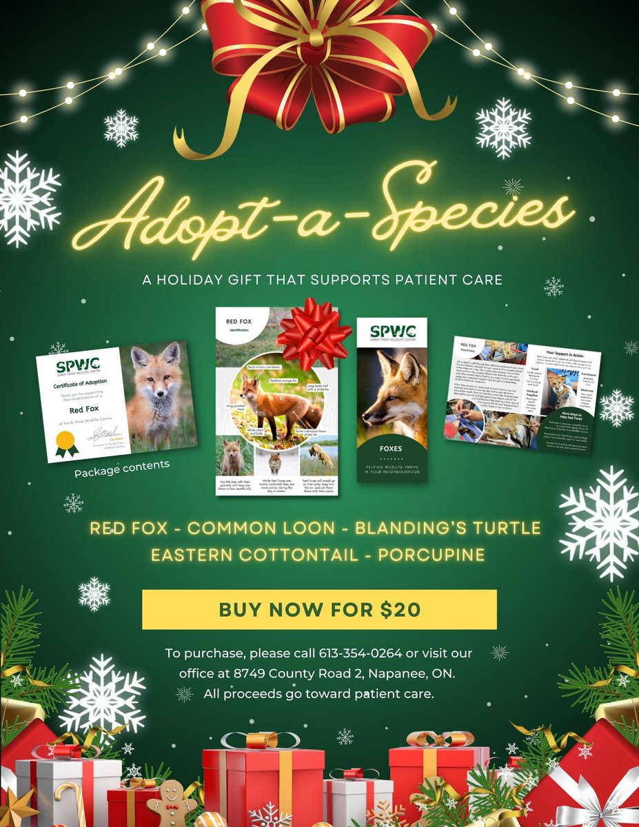 Our Adopt-a-Species packages are back in stock for $20 each! Every purchase goes toward patient care. Call us to place your order in time for the holidays. 613-354-0264 #HolidayShopping #giftideas #charity