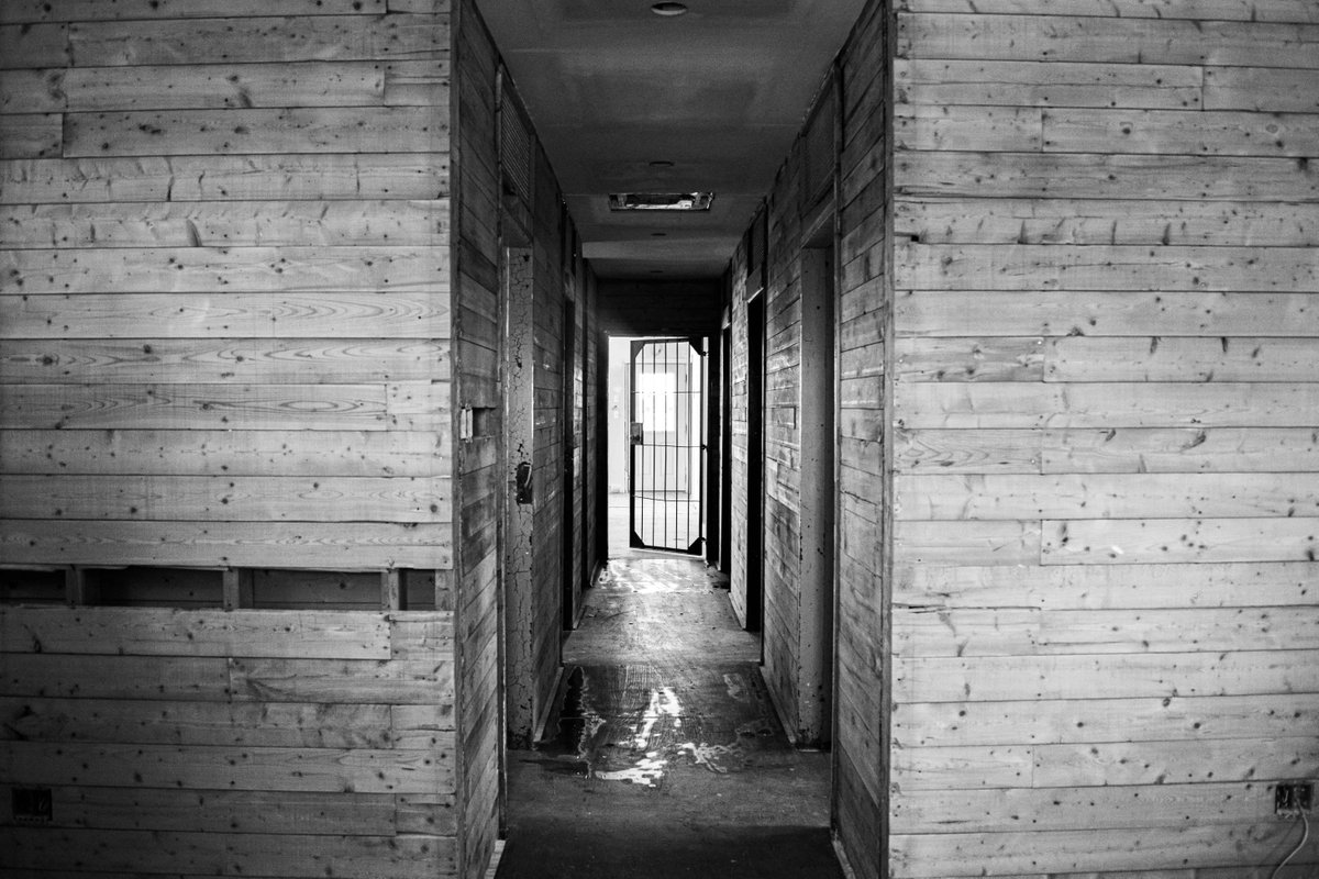 Base31PEC tweet media