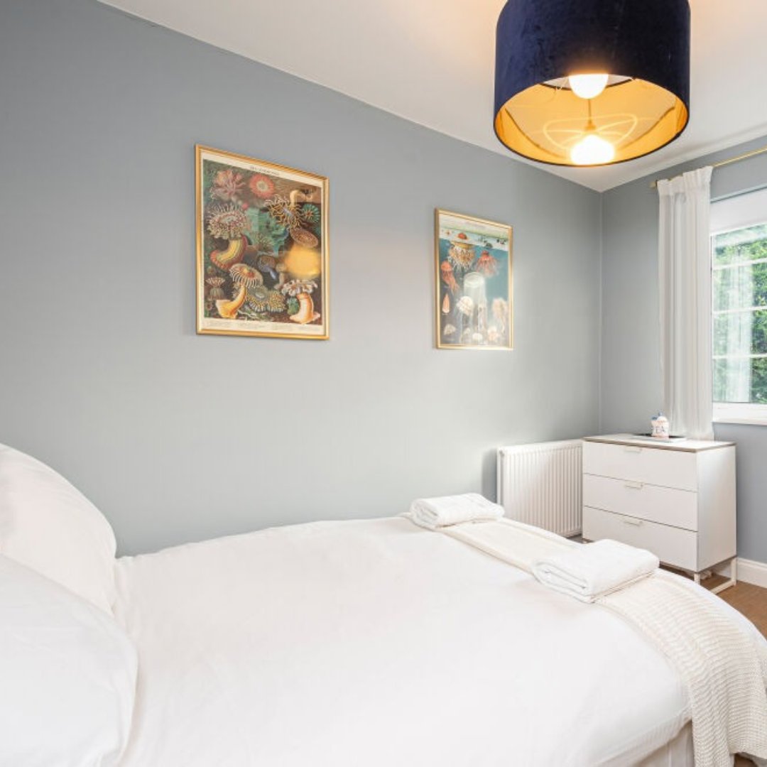 UnderTheDoormat tweet media