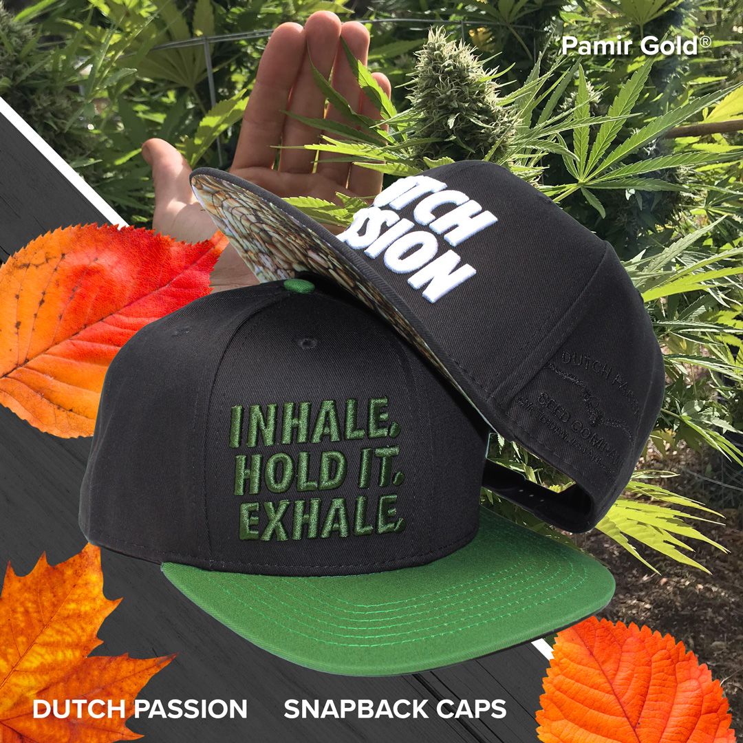 DutchPassion_'s tweet photo. π 42% discount on these stylish snapback caps! π§’
Get yours now:
π Inhale, hold it, exhale cap: https://t.co/pq9zUF87qm
π€ Dutch Passion cap: https://t.co/pyGE3rX1ru
#snapbackcaps #dutchpassionmerchandise #dutchpassioncaps https://t.co/DC2y4pTqPa