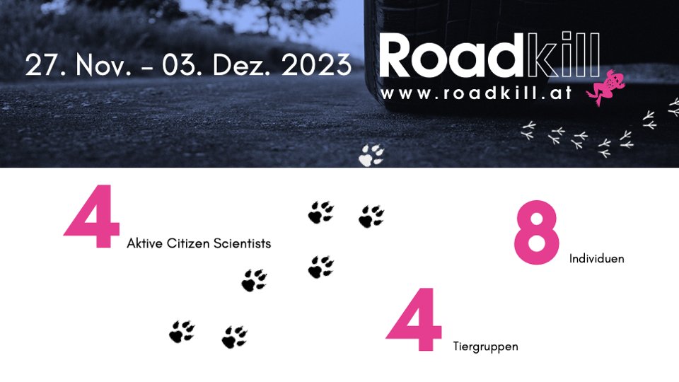 Wieviele überfahrene Tiere vergangene Woche in unserem #citizenscience Projekt gemeldet wurden, könnt ihr hier sehen.  Welche genau, findet ihr auf der Projektseite: roadkill.at/erfolge/woeche…