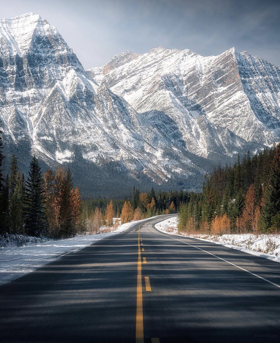 Icefields Parkway, Alberta, Canada 🇨🇦