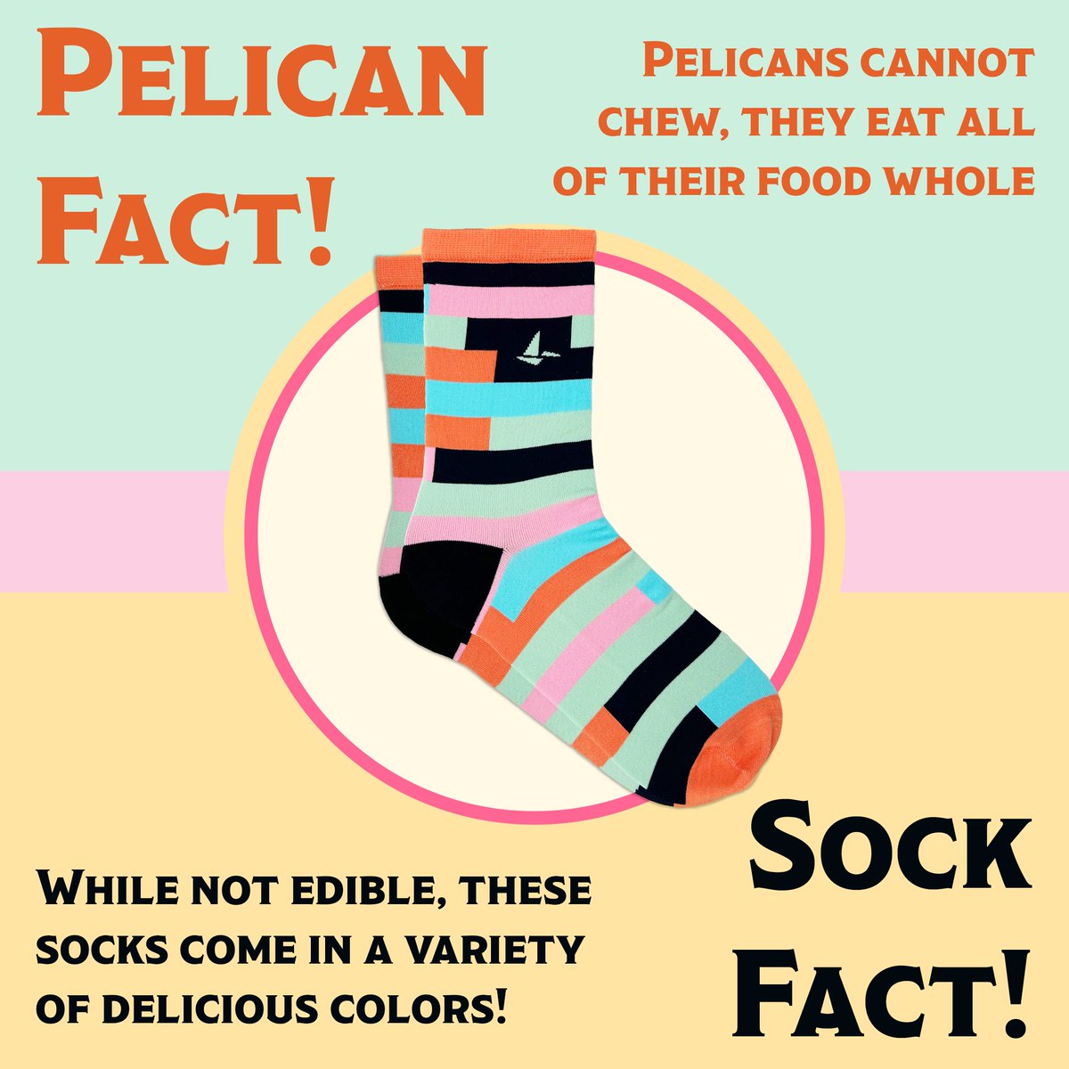 Can you find the hidden pelican? Just 5 days left to order these socks in time for the holidays at all U.S. addresses! Some sizes and four-packs are selling out, so don't wait. 

Get them here: ow.ly/8zEJ50QfcGQ