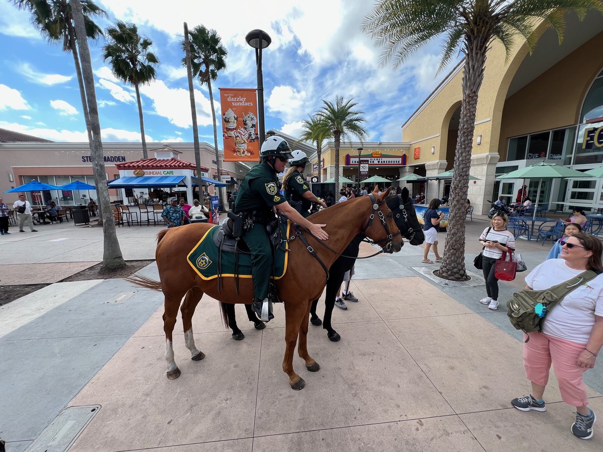 OrangeCoSheriff's tweet photo. As part of Operation Safe Holiday, OCSO’s Mounted Unit patrolled @OrlandoPOVine today. Our deputies and their four-legged partners are here to make sure everyone is safe as they continue to shop this holiday season.
#OperationSafeHoliday #HappyHolidays https://t.co/HeTl25BhW7