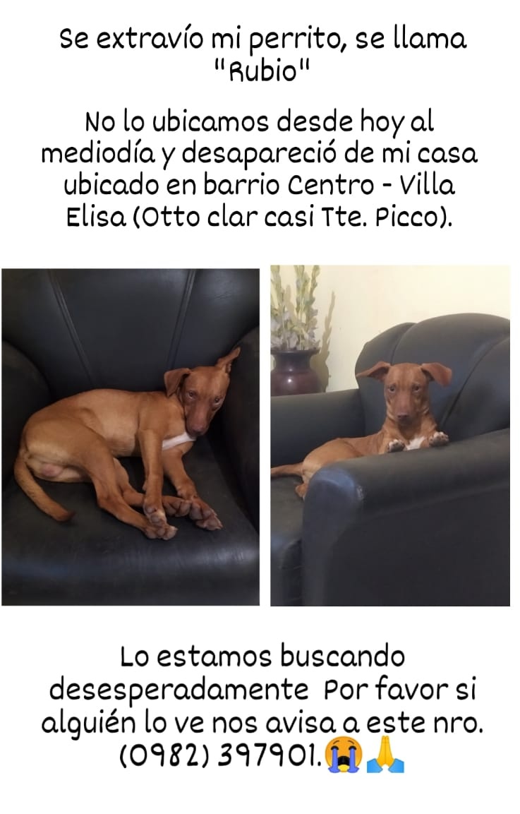 salvandohocicos's tweet photo. Xfa compatir https://t.co/Sw444Fu3cK