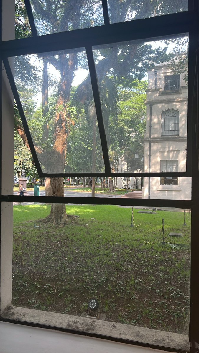 studsfolk's tweet image. fotos da faculdade de medicina da usp pra quem é obcecado igual eu e gosta de usar como papel de parede ❤️

p.s: eu q tirei todas as fotos 🥲