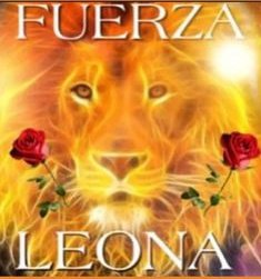 ssaaandss's tweet photo. Yo a cada cosa que me ha salido hoy mal: https://t.co/yTpNYDIBD9