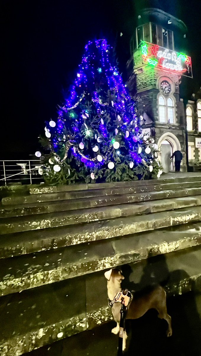 misseriles's tweet photo. A lovely festive dog walk this evening 🐾🎄@TCS_HWB #TeamSLT
 #healthontheshelf2023 https://t.co/FqSTdAEz7o
