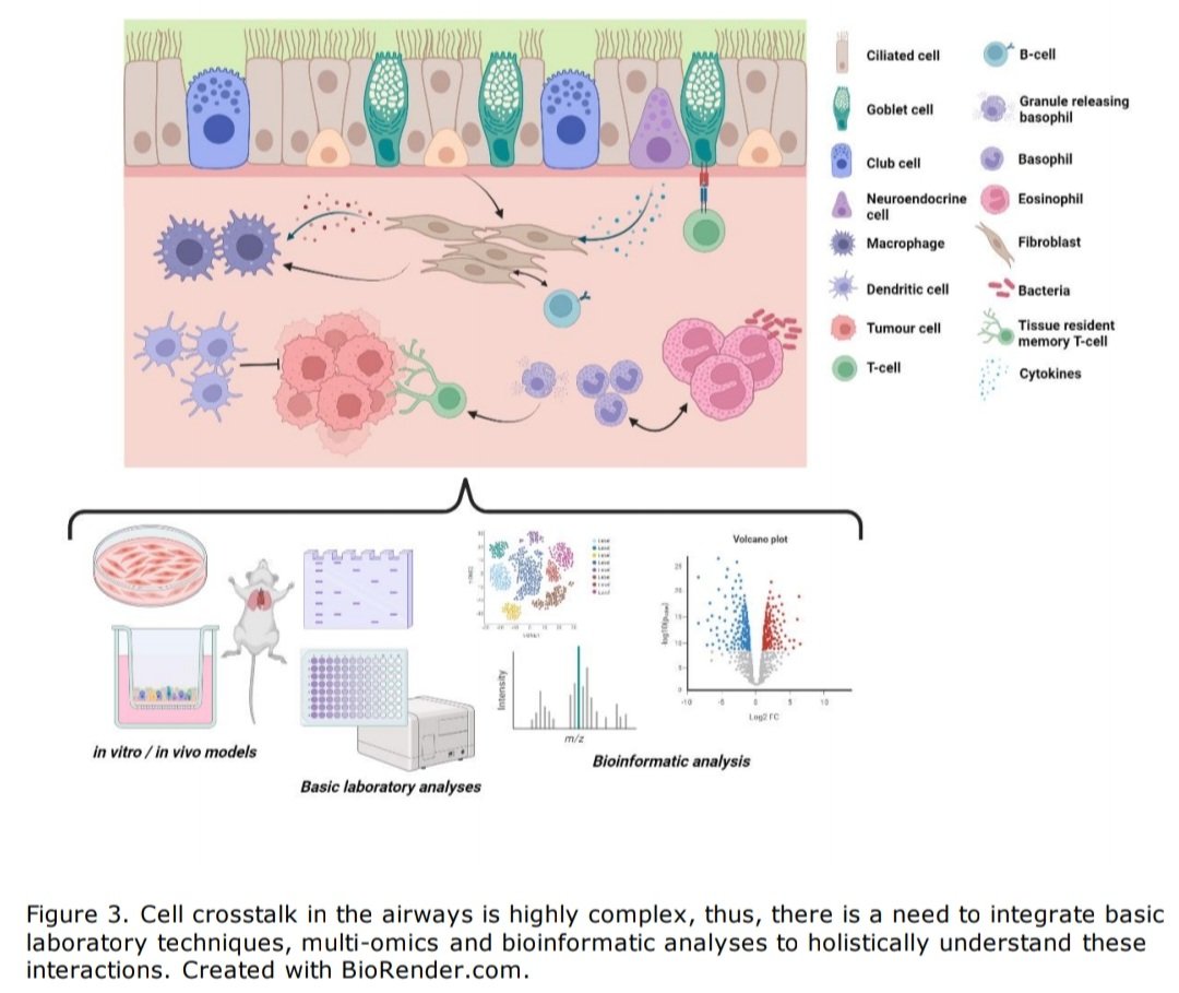 Sachin Ananth (@drsachinananth) on Twitter photo Now published: our <a href="/ERSpublications/">ERS publications</a> article on the highlights of <a href="/3Assembly/">ERS Assembly 3</a> at ERS 2023. Thanks a lot to <a href="/SaraOcana1/">Sara Cuevas Ocaña</a> for leading this - I'm already looking forward to ERS 2024!
openres.ersjournals.com/content/early/… Now published: our <a href="/ERSpublications/">ERS publications</a> article on the highlights of <a href="/3Assembly/">ERS Assembly 3</a> at ERS 2023. Thanks a lot to <a href="/SaraOcana1/">Sara Cuevas Ocaña</a> for leading this - I'm already looking forward to ERS 2024!
openres.ersjournals.com/content/early/…
