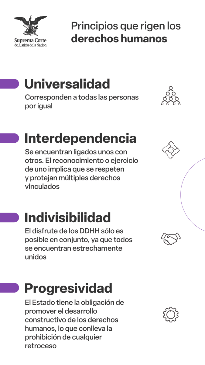 SCJN's tweet photo. ¿Cuáles son los principios que rigen los derechos humanos?

Conócelos 👇 https://t.co/QtBx8Dm3JH