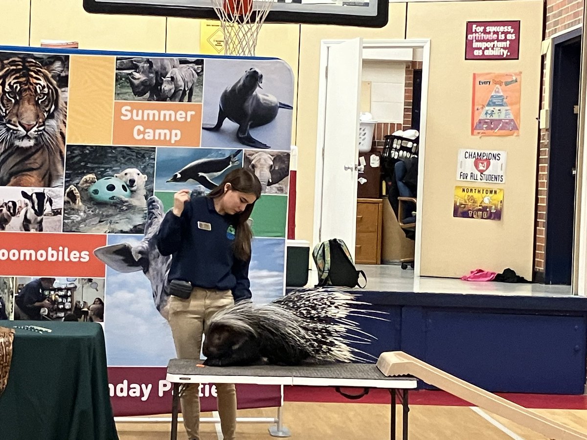 HannahKwon_SW's tweet photo. November Outstanding attendance celebration with KC Zoomobile! This is so cool! @ChouteauSchool @WalkerAnjanette  #KCZoomobile #culturalconnection https://t.co/mN4l22P8lQ