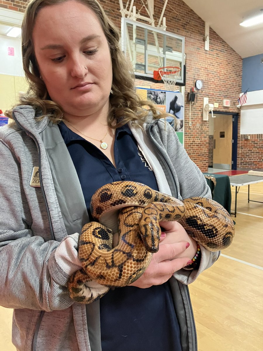 HannahKwon_SW's tweet photo. November Outstanding attendance celebration with KC Zoomobile! This is so cool! @ChouteauSchool @WalkerAnjanette  #KCZoomobile #culturalconnection https://t.co/mN4l22P8lQ