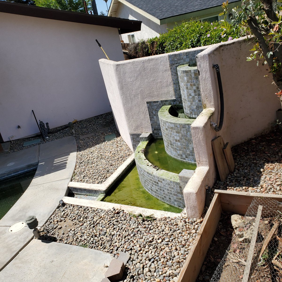 Mosquitoes love to lay their eggs on green standing water.  If you have a water fountain, swimming pool or pond, they can become a mosquito problem quickly if they are neglected.  Please keep water fountains and swimming pools chlorinated and place mosquito fish in ponds.