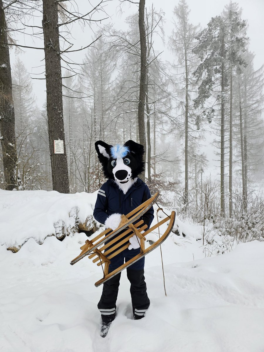 🐾 Fex 🐾 tweet media