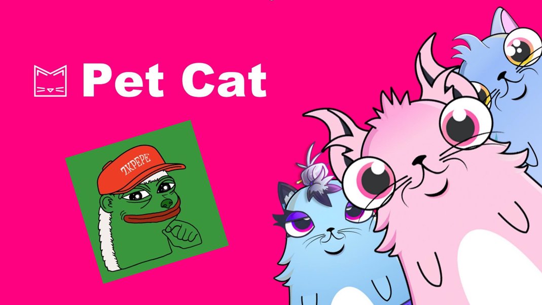PetCat_Nft's tweet photo. #PetCat wants to be friends with #PEPE👬
Give away 10K  $ZKPEPE X 3

1⃣follow：@PetCat_Nft @zkpepereal
2⃣Like, Retweet,Comment
3⃣48H
#Cat #BSC #Blockchain https://t.co/pFwlsW1L8h
