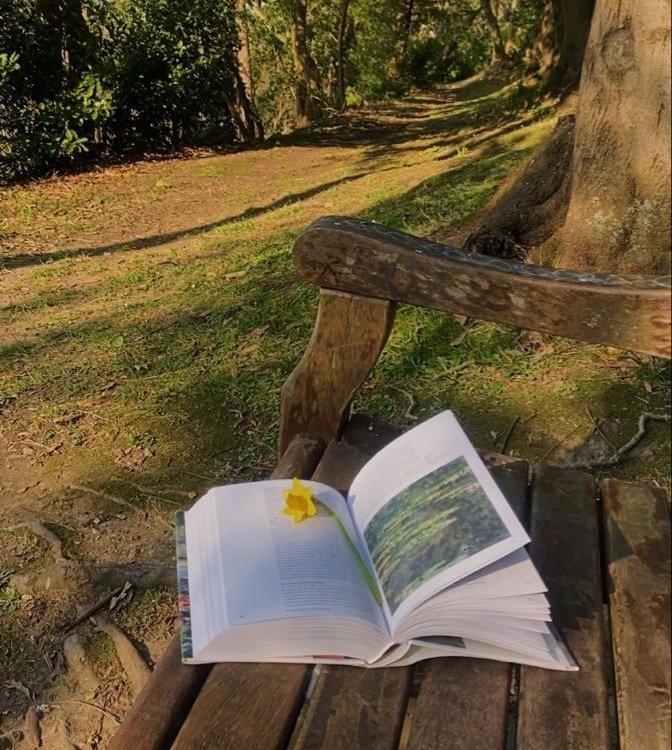 softdeIicacy's tweet photo. books and nature. https://t.co/1wWK5K19aj