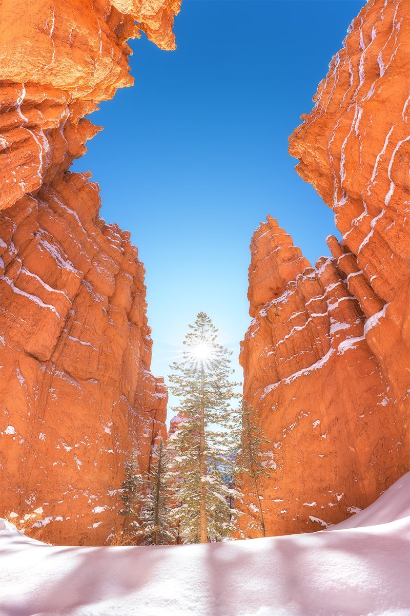 𝐌𝐀𝐓𝐓 𝐓𝐇𝐎𝐌𝐒𝐎𝐍 𝐕𝐈𝐒𝐔𝐀𝐋𝐒 tweet media