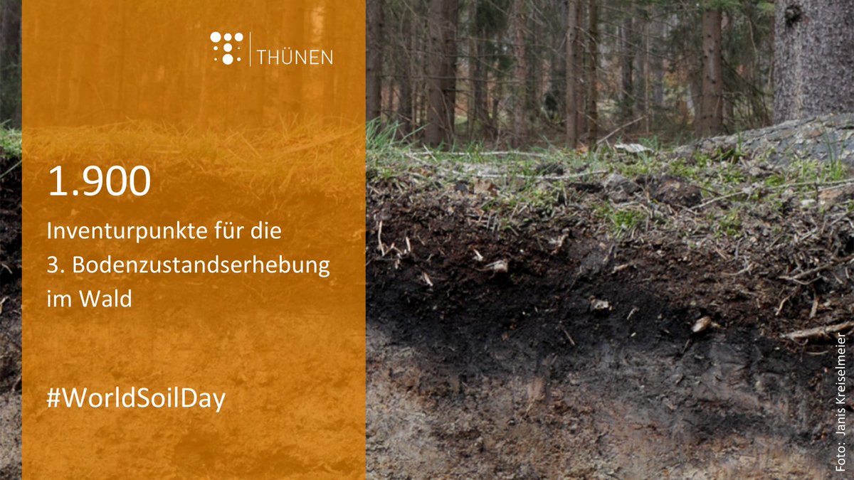Im @BMEL wird heute der #Waldboden zum Boden des Jahres 2024 gekürt. Wie passend, dass aktuell die 3. Bodenzustandserhebung im Wald stattfindet – die 1. war 1990. Die Wiederholungen zeigen, wie sich der Zustand im Lauf der Zeit verändert. #Weltbodentag 
👉thuenen.de/de/bodenzustan…