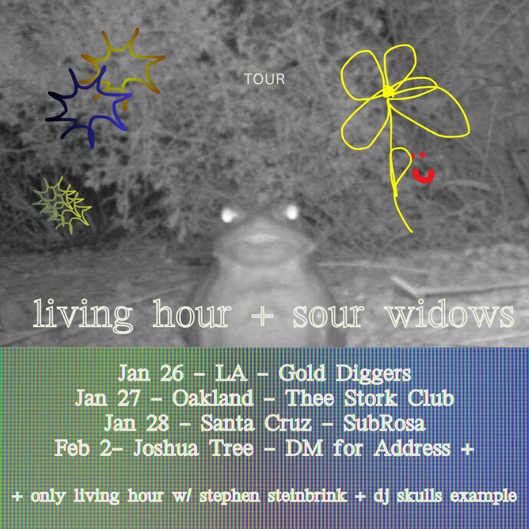 Shows with @sourwidows and @s_steinbrink in Cali in January!