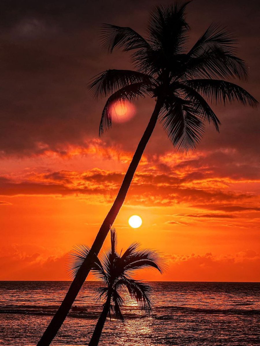 Bello atardecer en las playas  de Jiquilillo cuando se oculta el sol 🌞 

#UnidosEnVictorias 
#NicaraguaPazyBuenaVoluntad