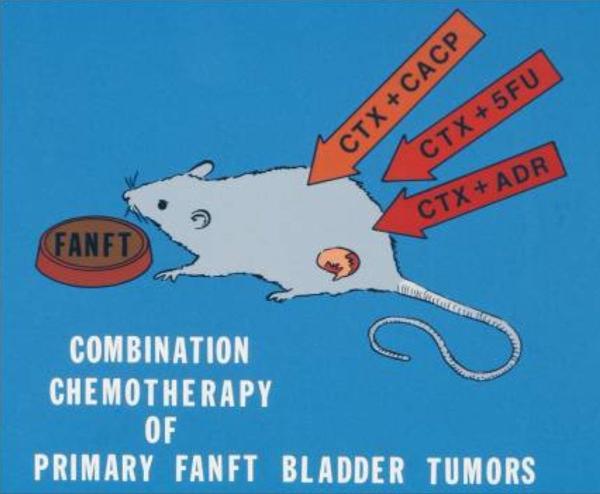 Mark Soloway: 'Sometimes simple careful observations can lead to significant improvements on how we care for our patients.' On how #cisplatin was introduced in urology and more ncbi.nlm.nih.gov/pmc/articles/P… #bladdercancer